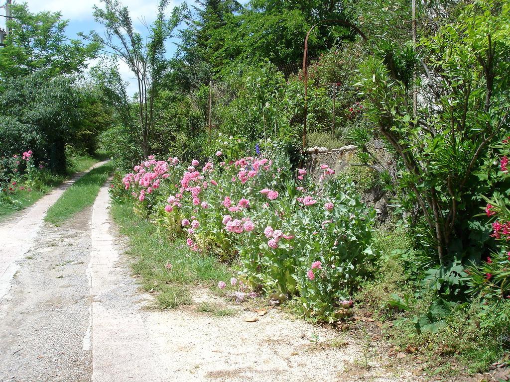 La Colline Bleue Banne Exterior foto